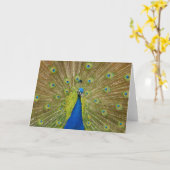 Peacock-Wenskaart Kaart (Gele Bloem)