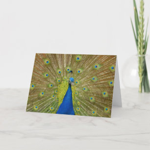 Peacock-Wenskaart Kaart
