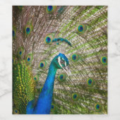 Peacock Wijn Etiket (Enkel label)