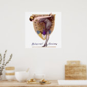  Peacock Woman Flapper  Poster (Keuken)