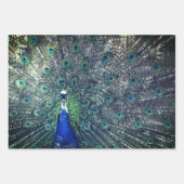 Peacock Wrapping Paper (Voorkant)
