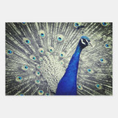 Peacock Wrapping Paper (Voorkant 2)