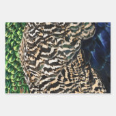 Peacock wrapping paper  (Voorkant 2)