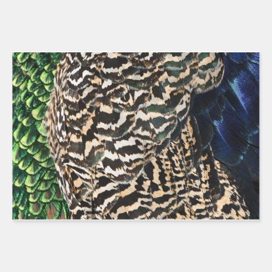 Peacock wrapping paper  (Voorkant 2)