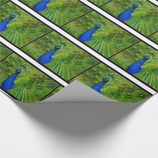 Peacock Wrapping Paper Cadeaupapier (Hoek)