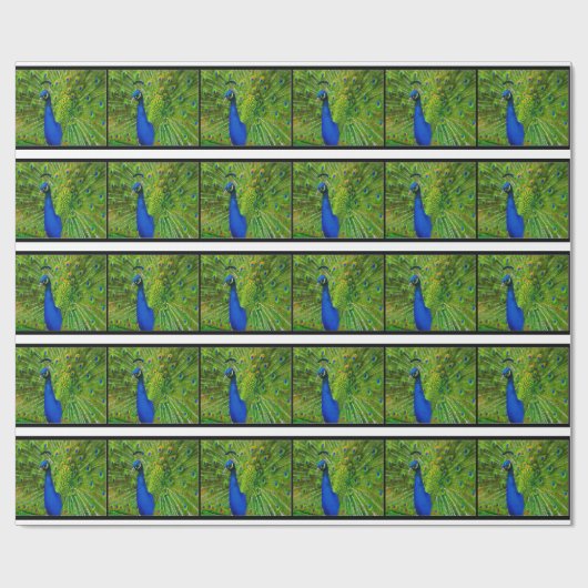 Peacock Wrapping Paper Cadeaupapier (Vlak)