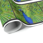 Peacock Wrapping Paper Cadeaupapier (Rol Hoek)
