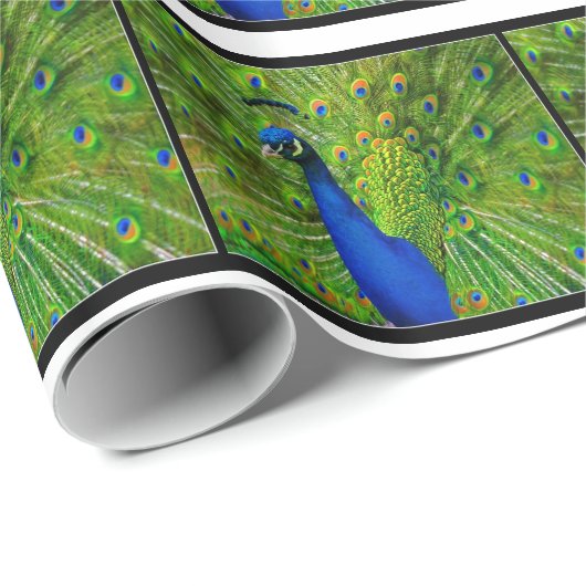 Peacock Wrapping Paper Cadeaupapier (Rol Hoek)