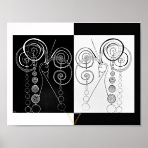 Peacock Yin en Yang DUET illustratie Poster