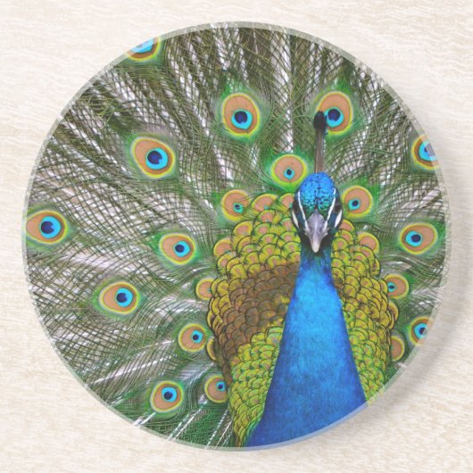 Peacock Zandsteen Onderzetter (Voorkant)