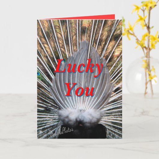 Peacockbutt card2-past om het even welke kaart (Gele Bloem)