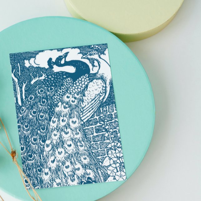 Peacocks (Creator heeft geüpload)