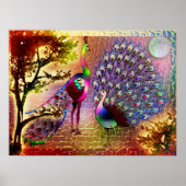Peacocks2 Poster (Voorkant)