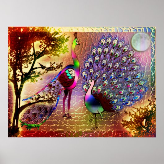 Peacocks2 Poster (Voorkant)