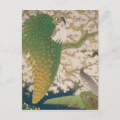 Peacocks en Cherry Tree (1925) Briefkaart (Voorkant)