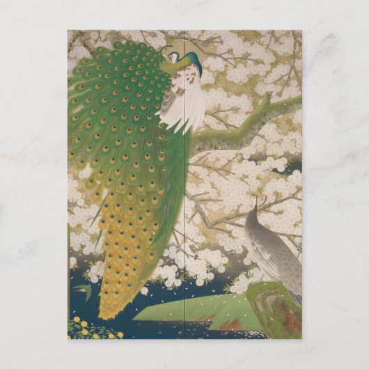 Peacocks en Cherry Tree (1925) Briefkaart (Voorkant)