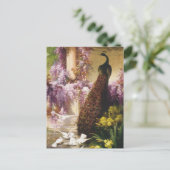 Peacocks en duiven briefkaart (Staand voorkant)