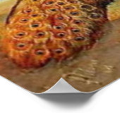 Peacocks en Poster van kippen (Hoek)