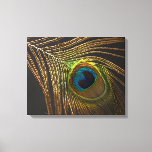 Peacock's eye canvas afdruk (Voorkant)