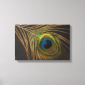 Peacock's eye canvas afdruk (Voorkant)