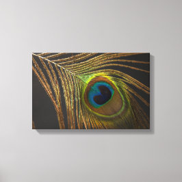 Peacock's eye canvas afdruk