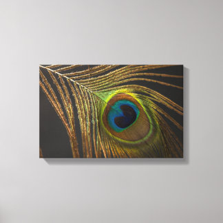 Peacock's eye canvas afdruk