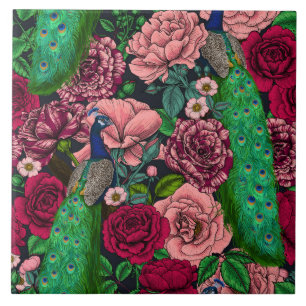 Peacocks in de tuin van het roos 2 tegeltje