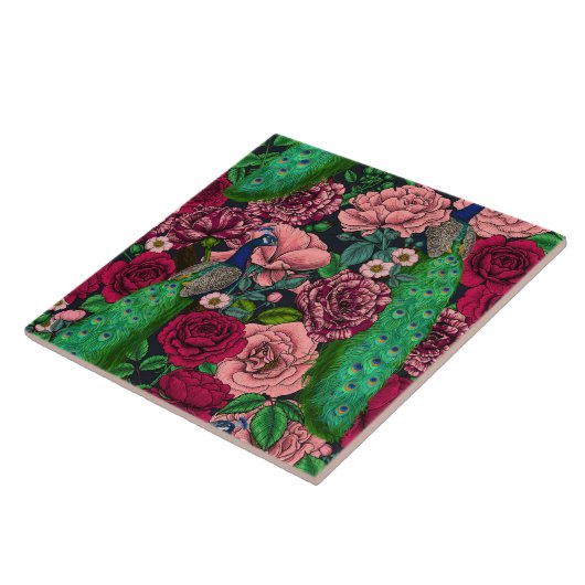 Peacocks in de tuin van het roos 2 tegeltje (Zijkant)