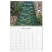 Peacocks-kalender Kalender (Feb 2027)