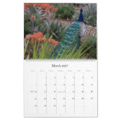 Peacocks-kalender Kalender (Mar 2027)