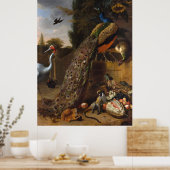 Peacocks - Melchior d'Hondecoeter Poster (Keuken)