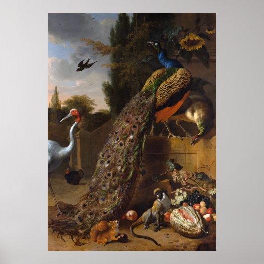 Peacocks - Melchior d'Hondecoeter Poster (Voorkant)