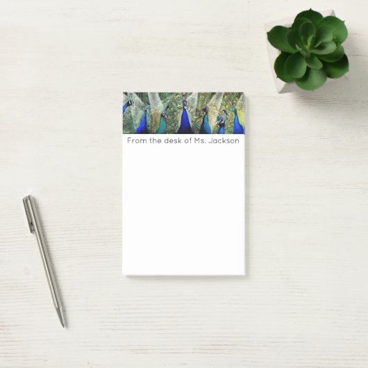 Peacocks Post-it® Notes (Kantoor)