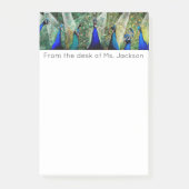 Peacocks Post-it® Notes (Voorkant)
