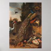 Peacocks Poster (Voorkant)