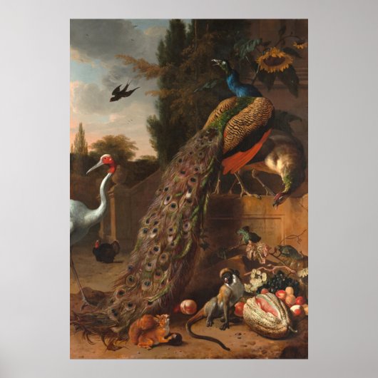 Peacocks Poster (Voorkant)
