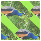 Peacocks Stof (Close Up)