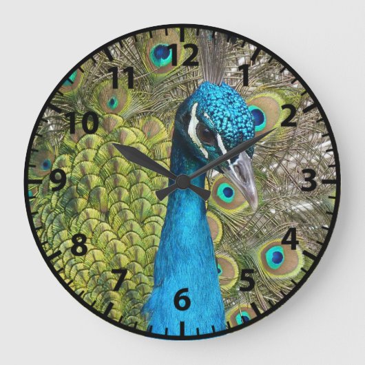 Peacocks Vogelklok Grote Klok (Voorkant)
