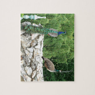 Peacocks Vogels Tuin Fotopuzzel met Geschenkdoos Legpuzzel