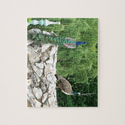 Peacocks Vogels Tuin Fotopuzzel met Geschenkdoos Legpuzzel (Verticaal)