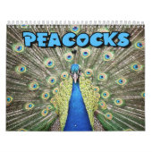 Peacocks Wall Calendar Kalender (Hoes)