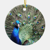 Peacocksierplant Keramisch Ornament (Voorkant)