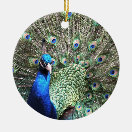 Peacocksierplant Keramisch Ornament (Voorkant)
