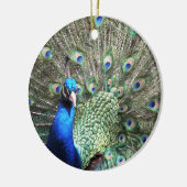 Peacocksierplant Keramisch Ornament (Links)