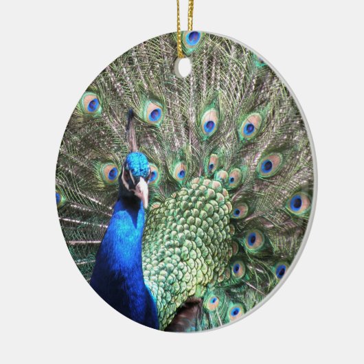 Peacocksierplant Keramisch Ornament (Links)