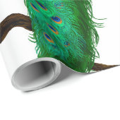 Peacocktuin Cadeaupapier (Rol Hoek)