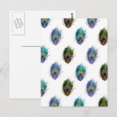 Peacockvederpatroon Briefkaart (Voorkant / Achterkant)