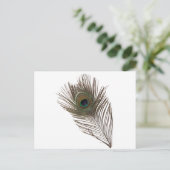 Peacockveer Briefkaart (Staand voorkant)