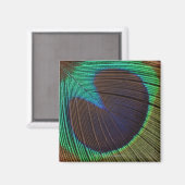Peacockveer Magneet (Voorkant / Achterkant)