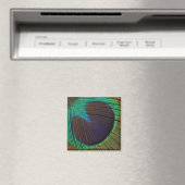 Peacockveer Magneet (Insitu (Vaatwasser))